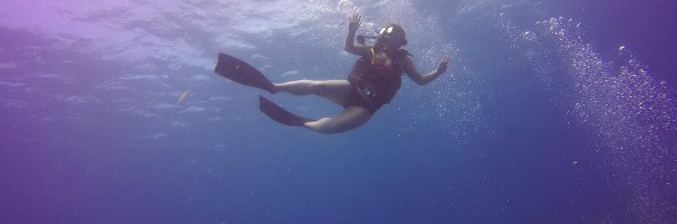 Duddala's profile banner image