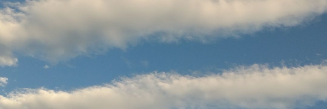 micubrignone's profile banner image