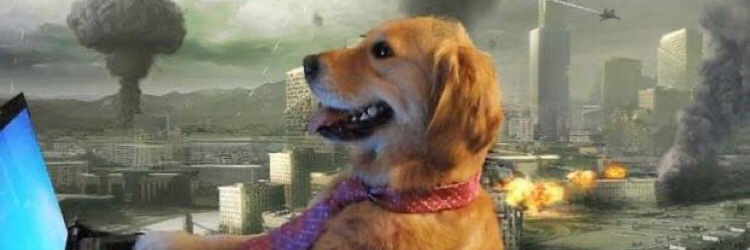 MitchRushedIn's profile banner image