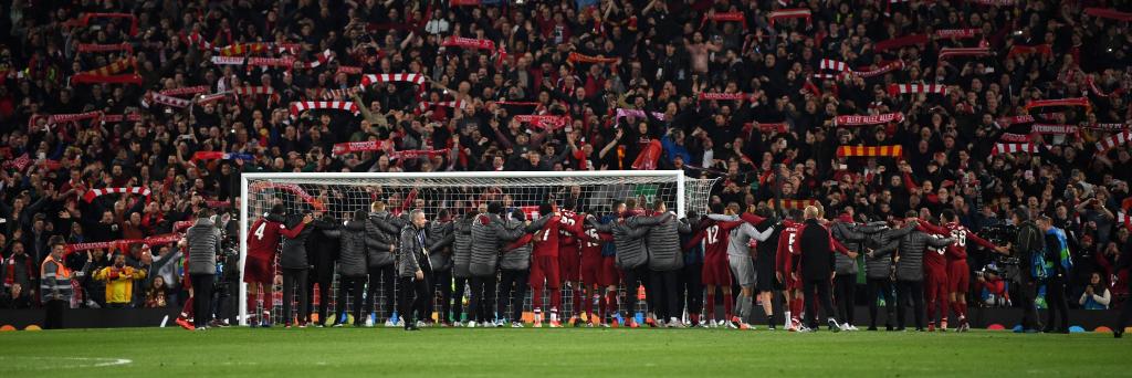 B-Rad 🍉🔴🦢🐶 banner