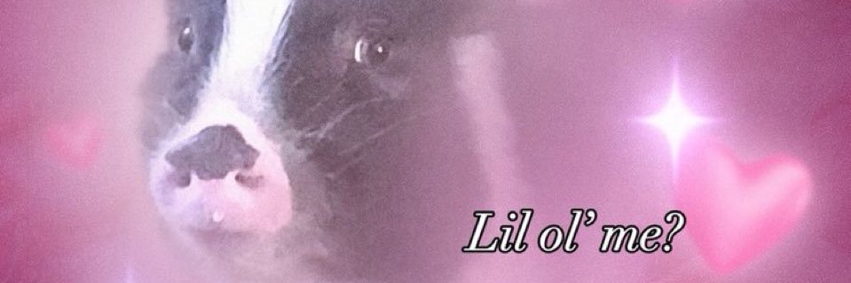 Bangy35's profile banner image