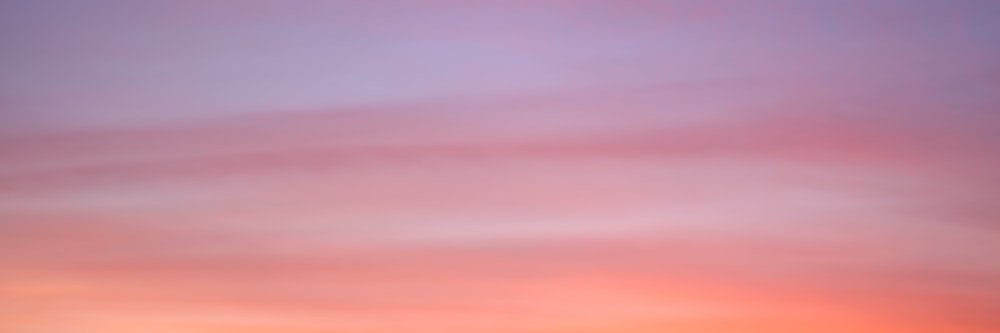 natpuch's profile banner image