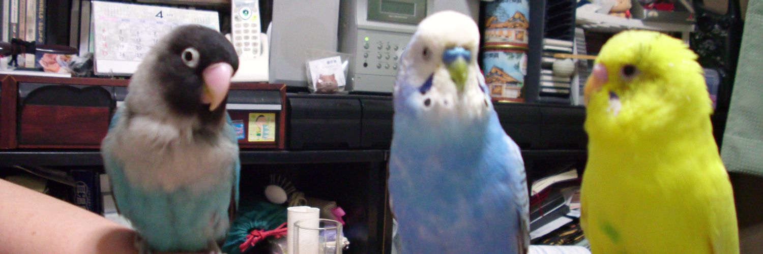 ブルーボタンインコ@旅立ちました banner