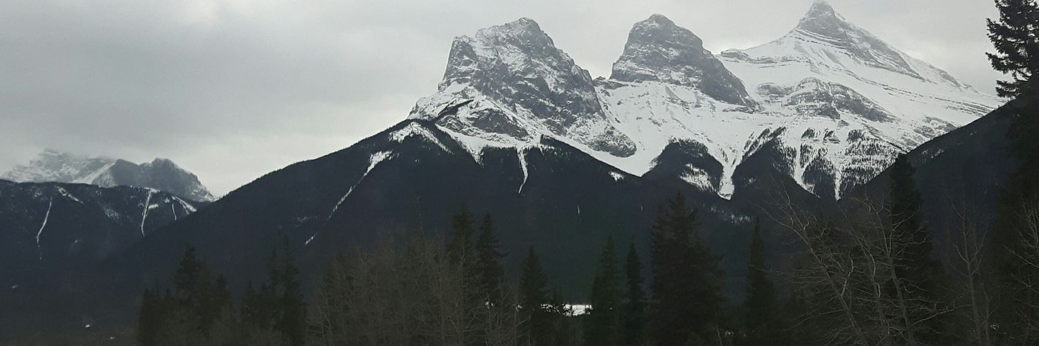 shermanjs's profile banner image