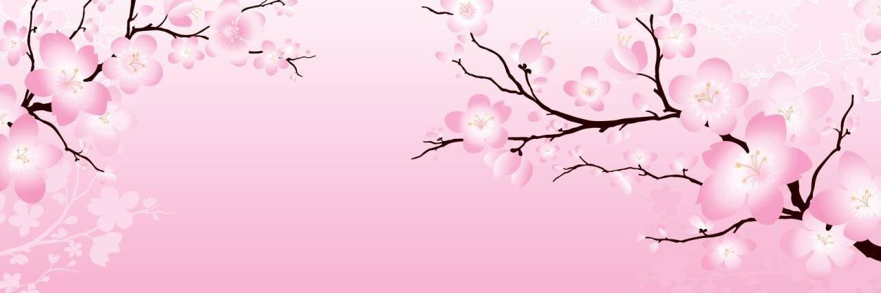 stellagalactic's profile banner image