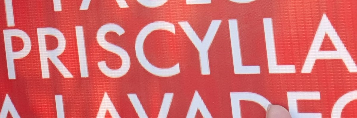priscyllamss's profile banner image