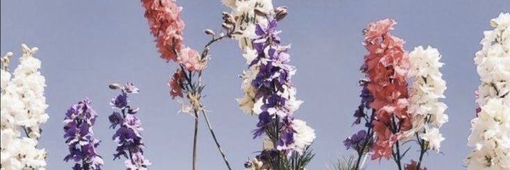 KaytlnHarrell's profile banner image