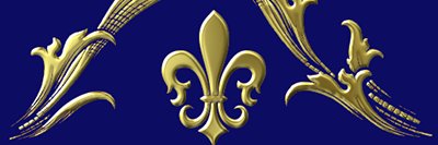 Donna M. C. Baringer banner