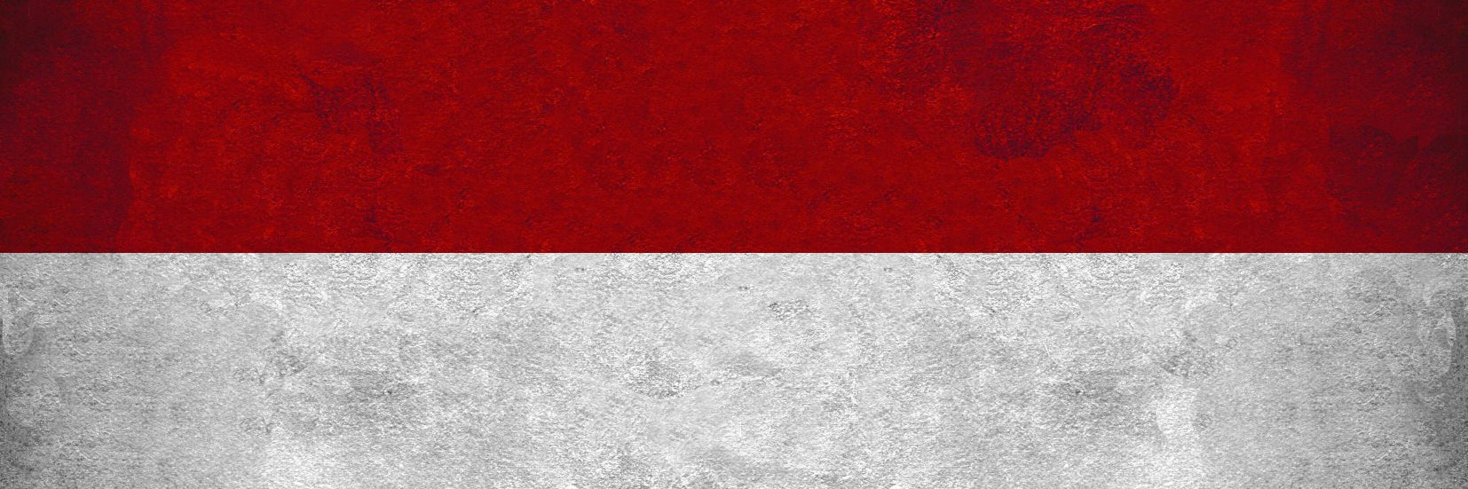 Bo 🍉 banner