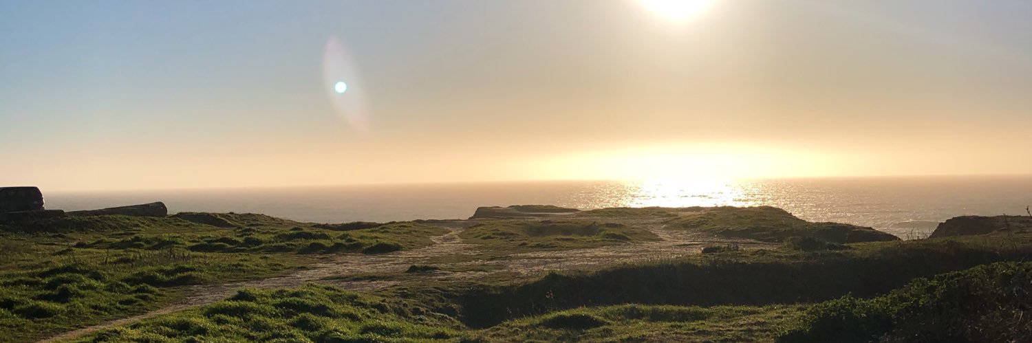 murzholz's profile banner image