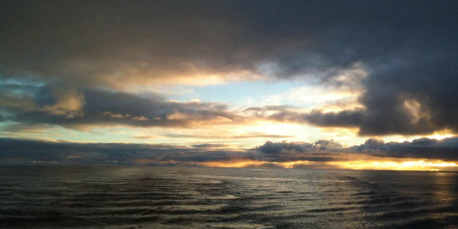 Dr. Alyse A Larkin banner