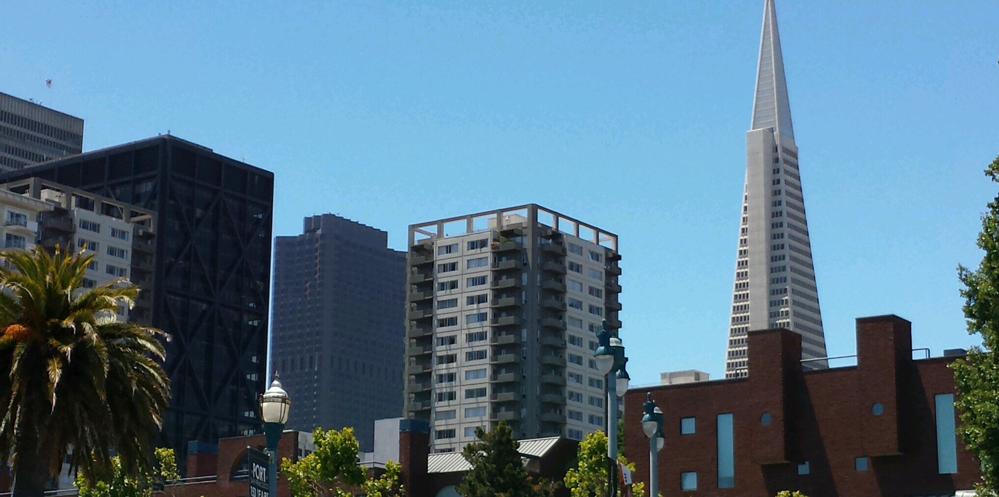 Mario Avila banner