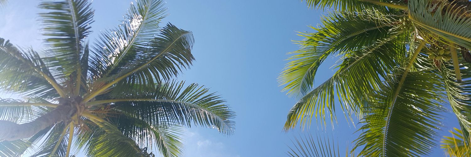 daniralt's profile banner image