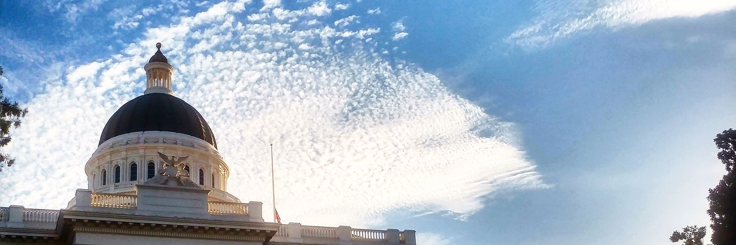 🇦🇫 Omar Hashemyan - سید عمر هاشمیان banner