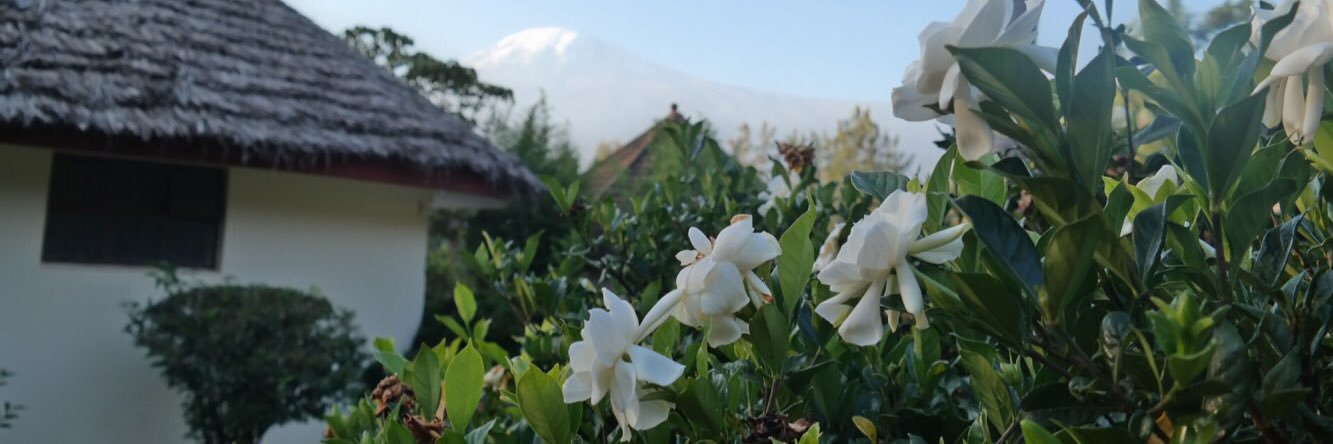 Kilemakyaro's profile banner image
