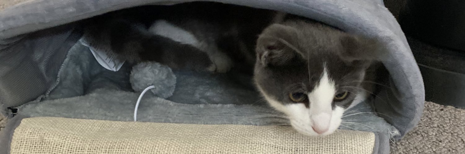 marandeezy's profile banner image