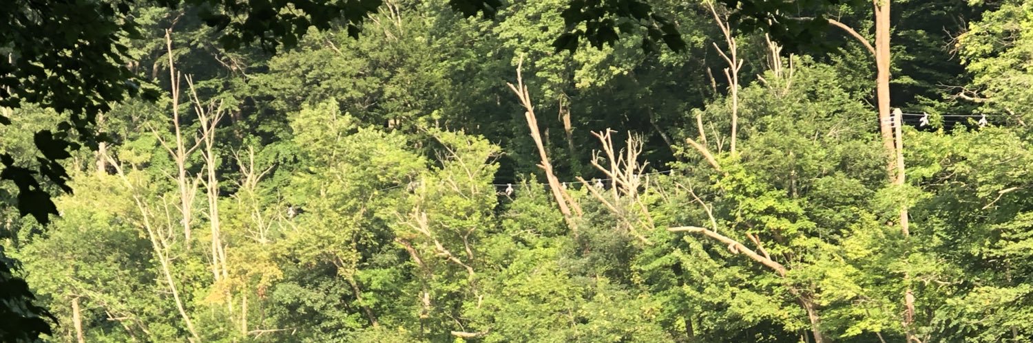 johnmcartesian banner