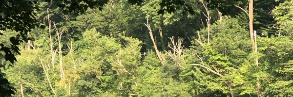 johnmcartesian Profile Banner