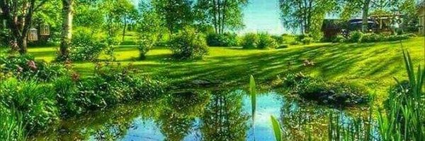 Driver4RealEver Profile Banner