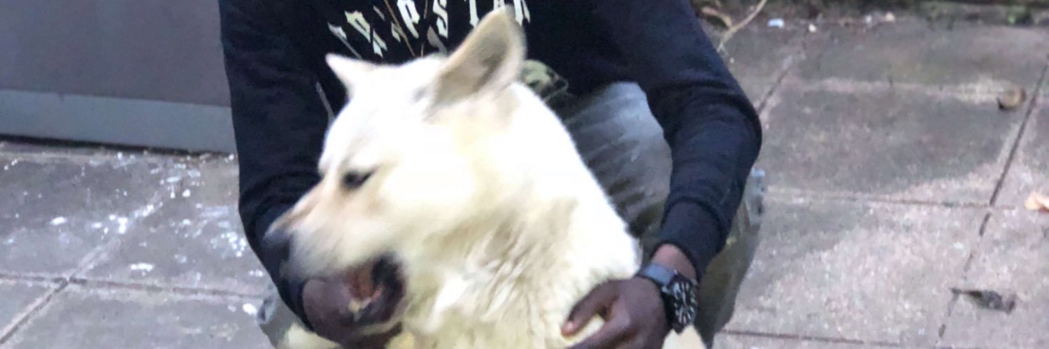 BernzyOfficial's profile banner image