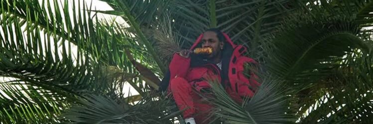 GroovyyP's profile banner image