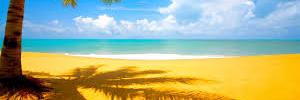 MyLatestMusings's profile banner image