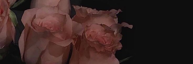 _icalatte's profile banner image