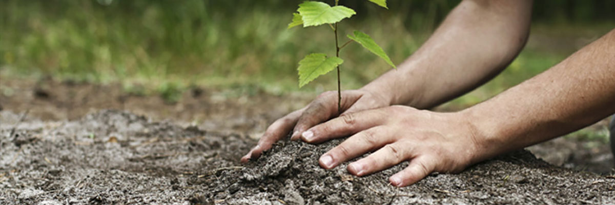 pepetex's profile banner image