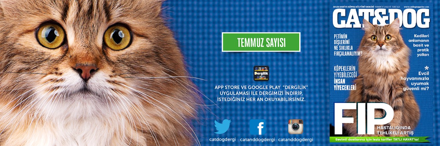 CatDogDergi's profile banner image