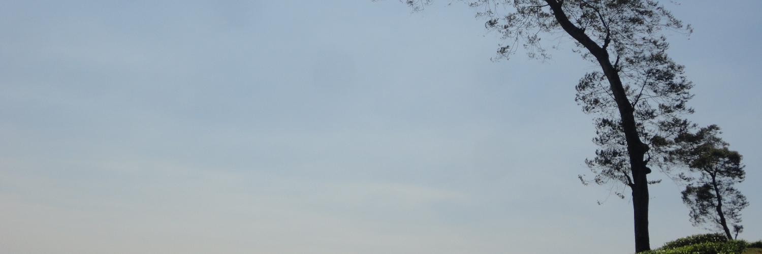 gilang_dsp's profile banner image