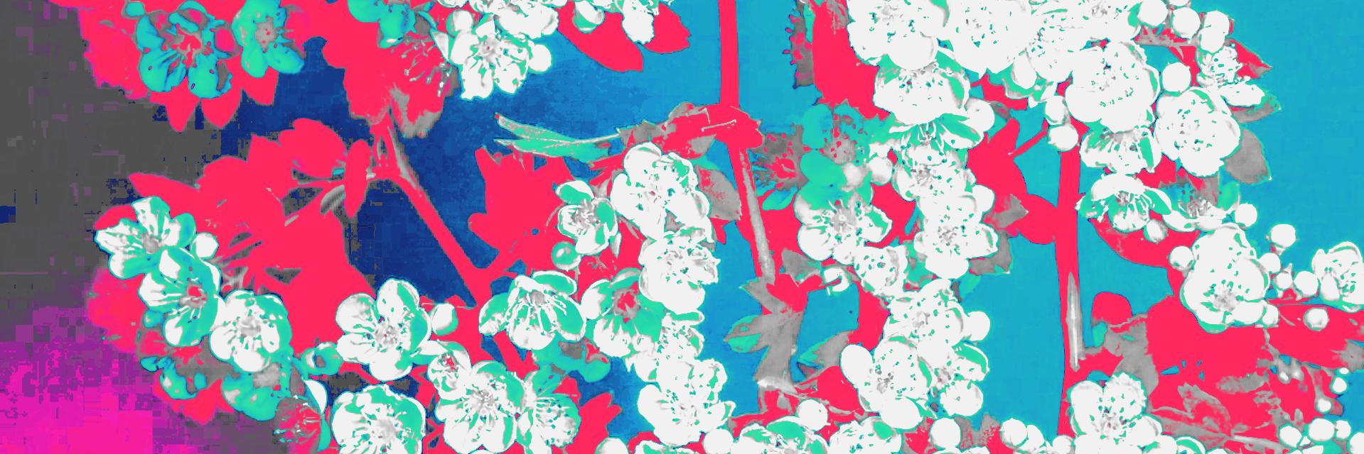 dsundival's profile banner image