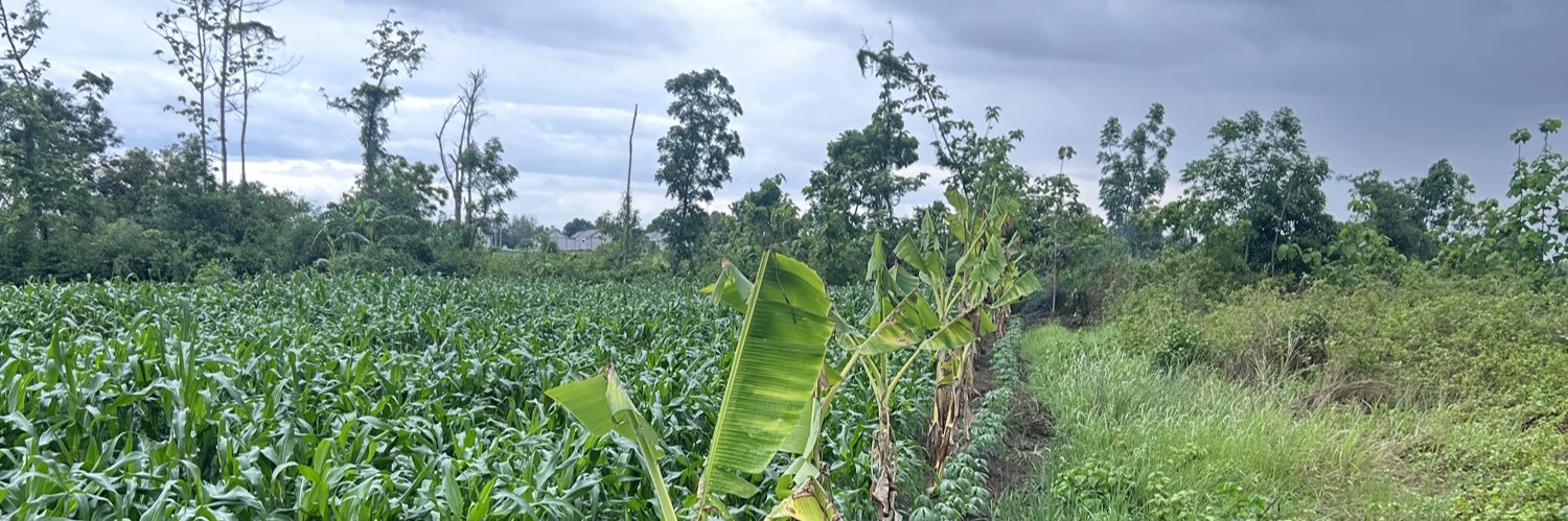 dhimasmahera's profile banner image