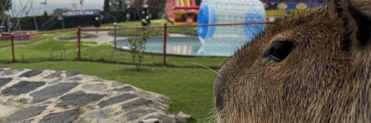PippoSaurio's profile banner image
