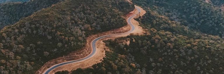petkitonga's profile banner image
