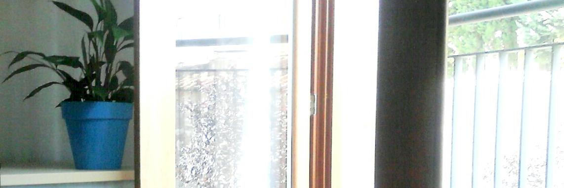 Elena_115's profile banner image