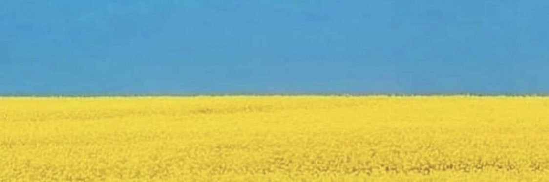 msashleyobrien's profile banner image