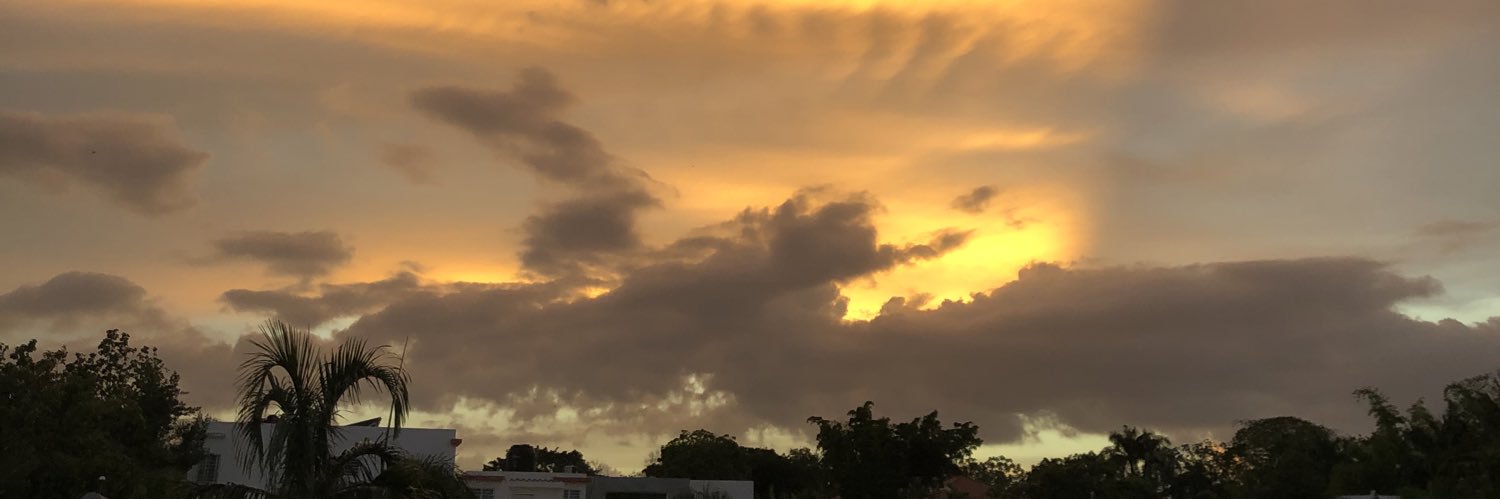 Lisaalvarez's profile banner image