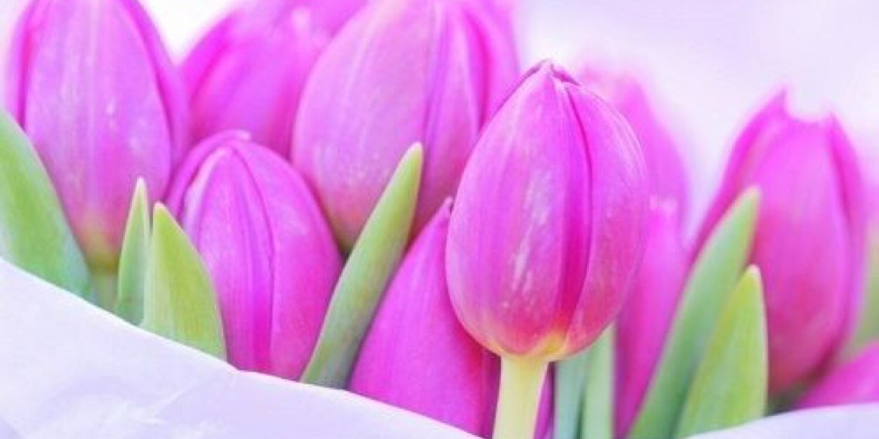 Jacqueline Baker banner