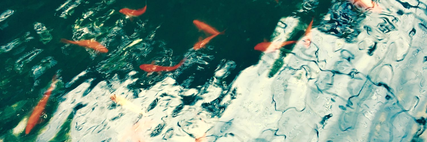 Sandra de la Fuente banner