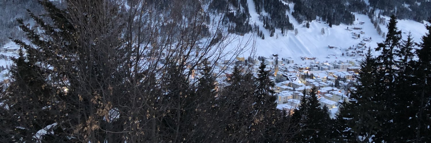 Dominique Soguel banner