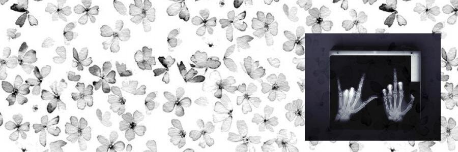 allthingsfrncs's profile banner image