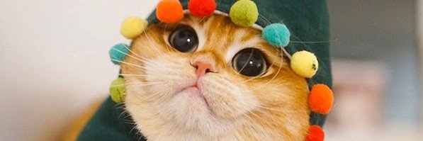 _TheKeyMaster_'s profile banner image