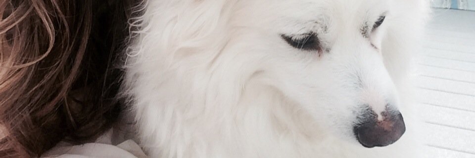 M3L2S's profile banner image