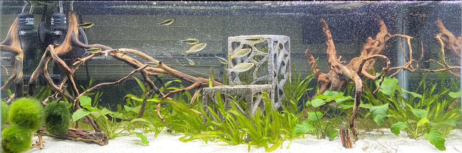 𝕁𝕔𝕒𝕡𝔾𝕋 banner