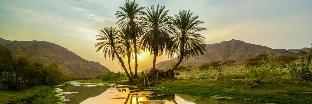 عبدالله الطلحي الهذلي's banner