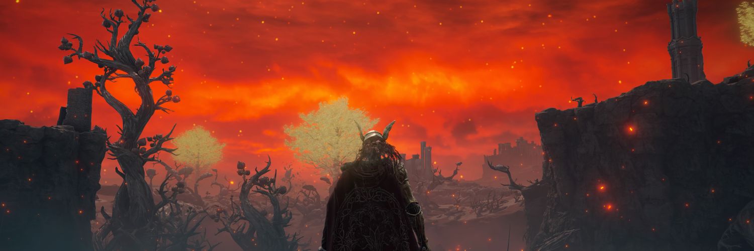 DavidDomouso's profile banner image
