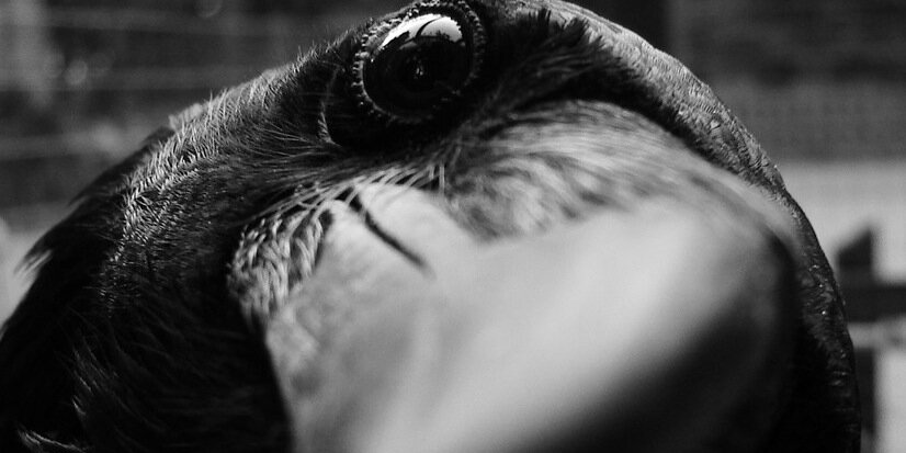 andymilks's profile banner image