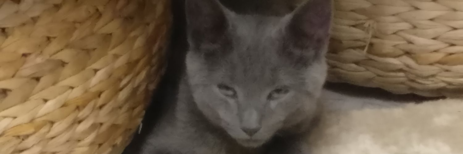 saeeb banner