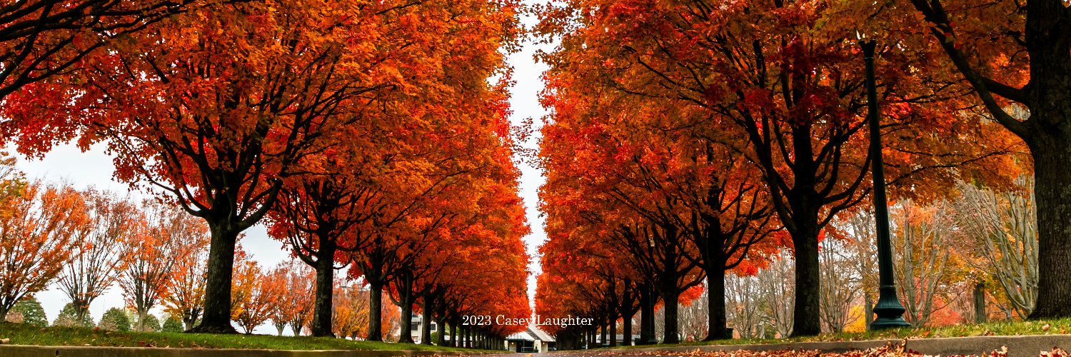 Casey Laughter banner