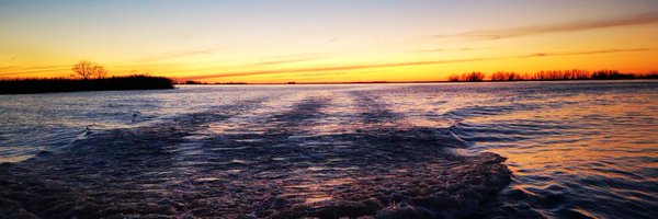 DrChrisHackney Profile Banner